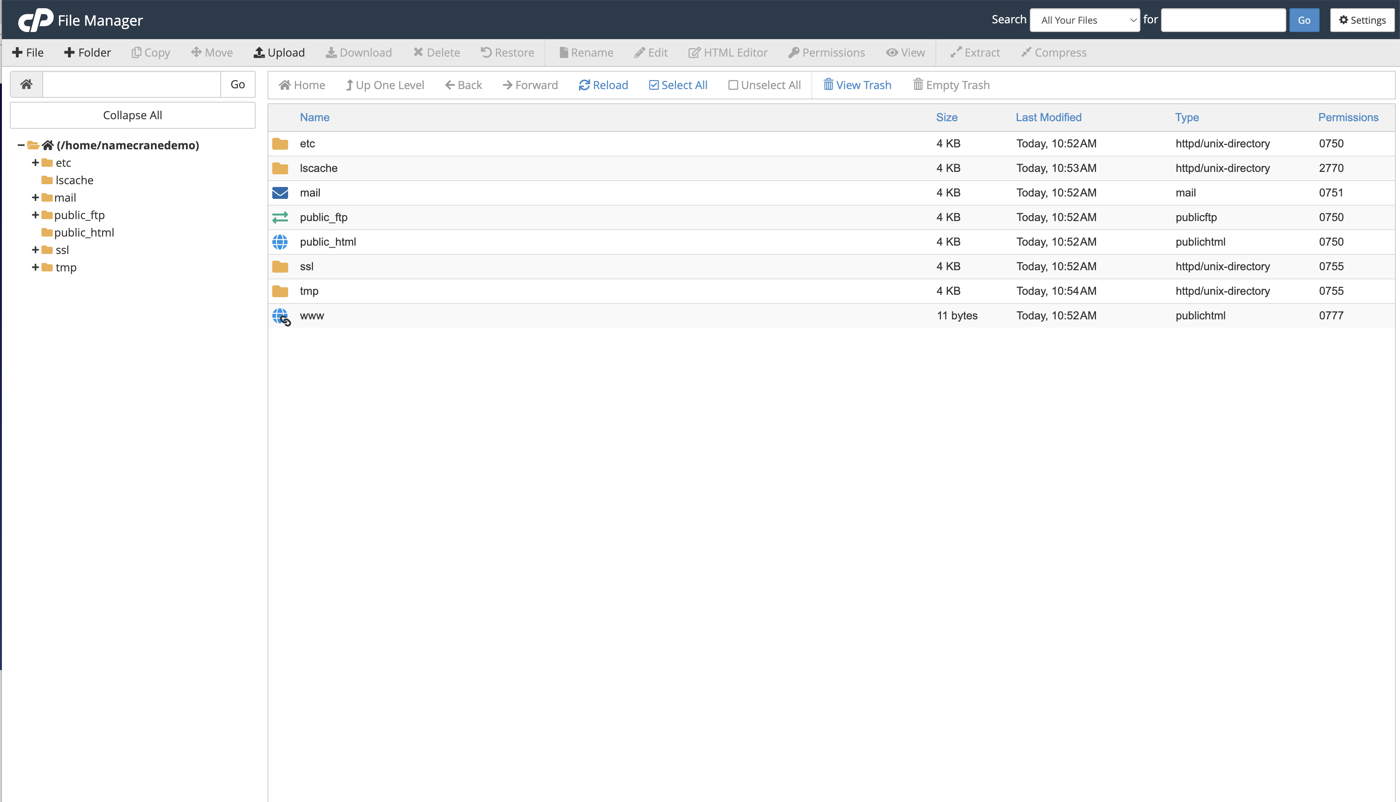 cPanel Control Panel